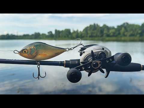 Видео: Salmo Slider ловить Щуку