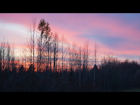 Видео: Рыбалка на таёжной реке.  Ловля хариуса по большой воде.  День 2