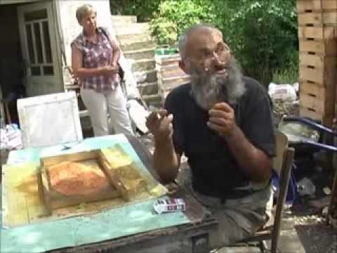 Видео: Всичко за пчелния прашец от агроном Жечо Мурзов - част 2