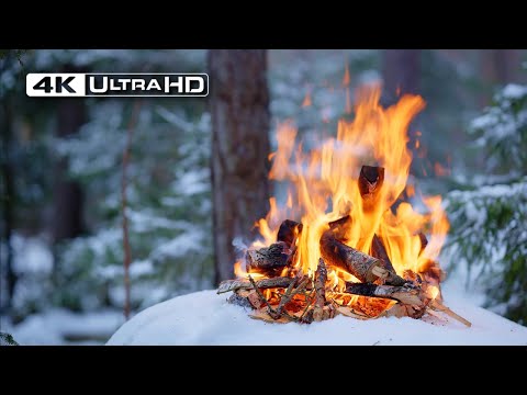 Видео: 4K 📺 Тихий зимний костер в глубине леса 🌲 Успокаивающие звуки