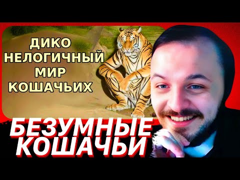 Видео: БЕЗУМНАЯ ЛОГИКА МИРА КОШАЧЬИХ | ЖМИЛЬ СМОТРИТ