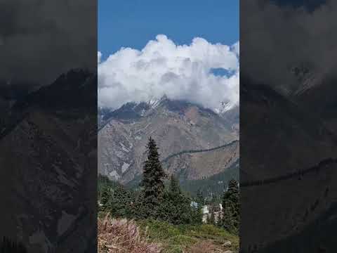 Видео: А В КАЗАХСТАНЕ НЕБО ЧУТЬ СВЕТЛЕЕ.. 🇰🇿💕