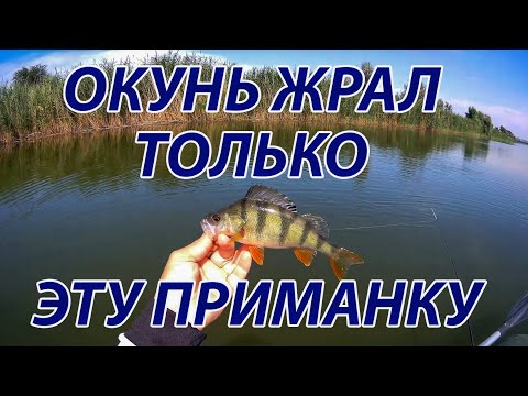Видео: За окунем с лодки. Микроджиг и все прелести рыбалки с лодки.