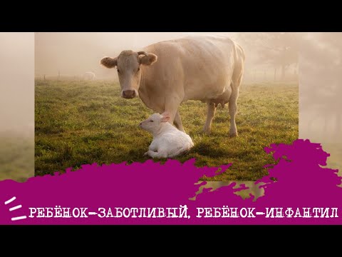 Видео: РЕБЕНОК-заботливый, ребенок-ИНФАНТИЛ