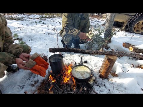 Видео: Добыча кедровой шишки в октябре
