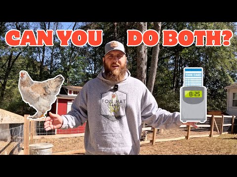 Видео: Возможно ли заниматься фермерством и одновременно работать полный рабочий день?