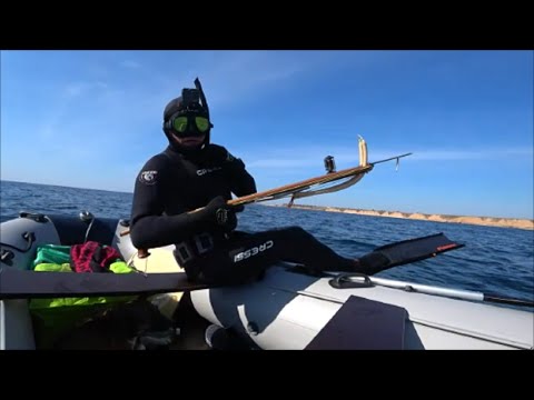 Видео: Подводная охота на Горбыля от А и до Я!