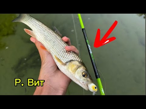 Видео: Риболов по река Вит с Българска въдица!