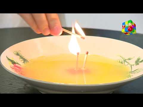 Видео: «Таҷриба» - Шаму ранг