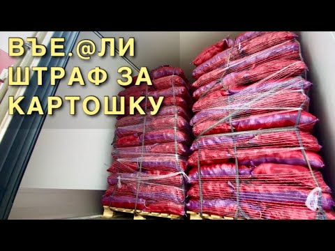 Видео: ВЪЕ.@ЛИ ШТРАФ за картошку / про ЛИДЕРТРАНС / СТАЖИРОВКА / Розыгрыш