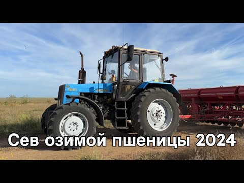 Видео: Сев озимой пшеницы 2024. С осадками в этом году повезло! Дорабатываем СЗШКУ, на какую глубину сеем?