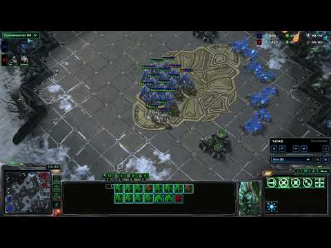 Видео: SC2 Медведь vs Wolfwood
