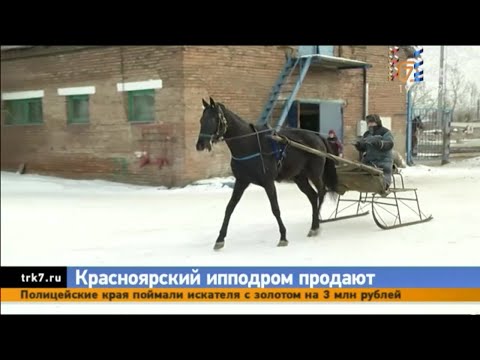 Видео: Красноярский ипподром выставили на торги