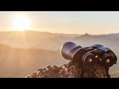 Видео: Дева ♍ Еженедельный энергетический прогноз 📚 (Стоять на распутье 👈👉🏽 никогда не легко 🤯)