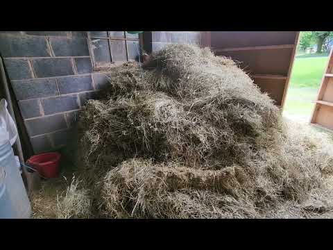 Видео: Дневник фермера