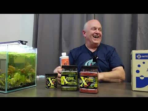 Видео: Любимый корм для рыбок от мастера-заводчика Дина — это не живой корм