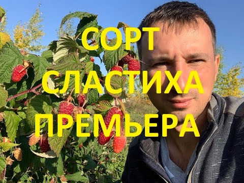 Видео: Малина Сластиха премьера 2020г.