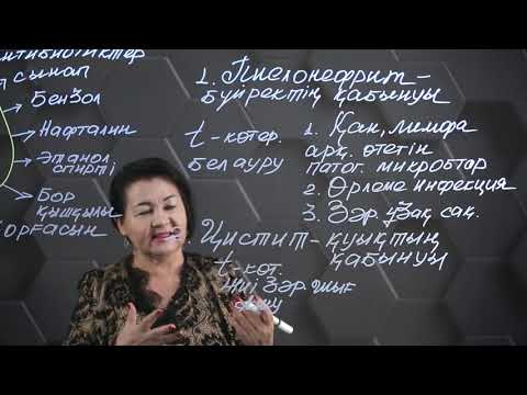 Видео: Зәр шығару жүйесінің гигиенасы. 9 сынып.