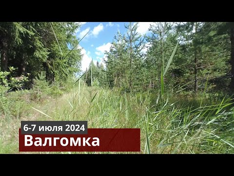 Видео: Валгомка (пеше-водная прогулка  6-7 июля 2024)