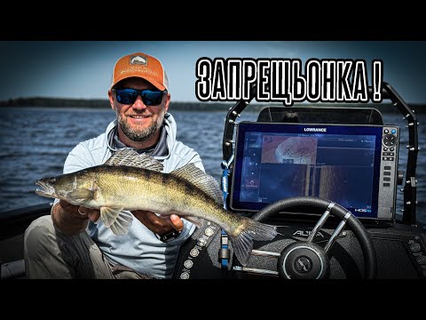 Видео: Список заборонених приманок! Як знайти і спіймати багато риби!