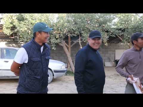 Видео: 30 октября 2025 г.