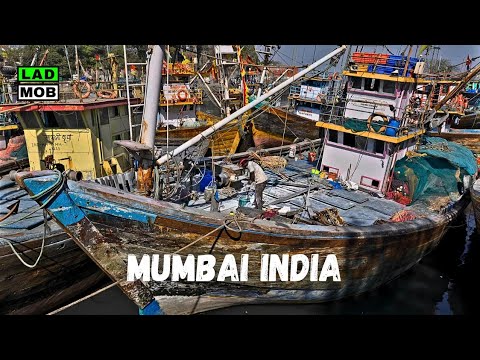 Видео: Старейшая рыбацкая гавань Мумбаи: док Сассун | Пеший тур по Индии в формате 4K HDR