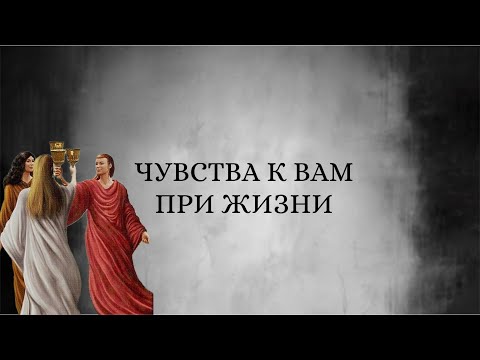 Видео: Он об отношении к вам! ☀️☁️ 🩶