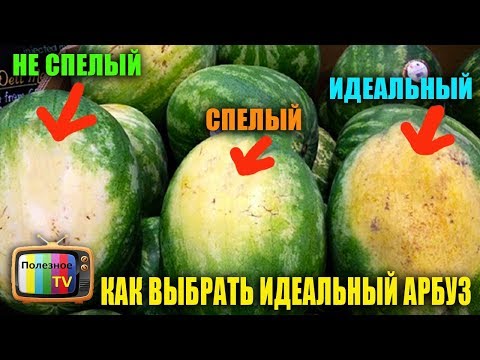 Видео: КАК ВЫБРАТЬ ИДЕАЛЬНЫЙ АРБУЗ СПЕЛЫЙ СЛАДКИЙ И БЕЗ НИТРАТОВ