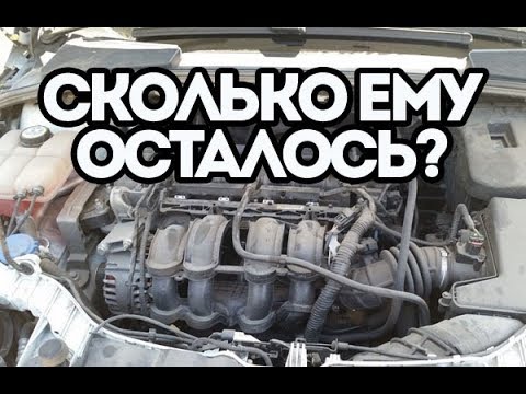 Видео: Почему стучит двигатель Форд Фокус?