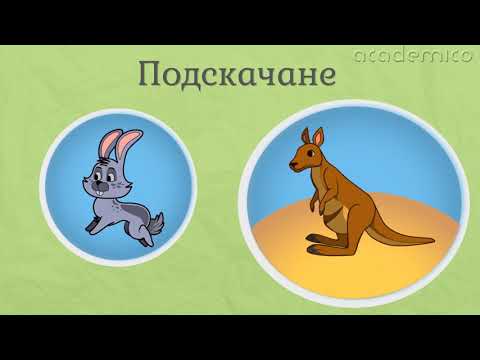 Видео: Движение на животните - Човекът и природата 4 клас | academico