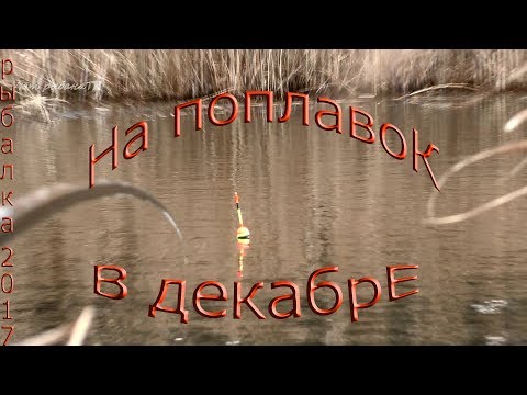 Видео: рыбалка в декабре на поплавок по открытой воде