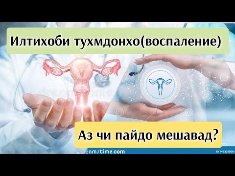 Видео: Воспаление Тухмдонхо. Сабаби пайдоиш. Чавоб ба саволхо #воспалениетухмдонхо#хаётисолим #тухмдон