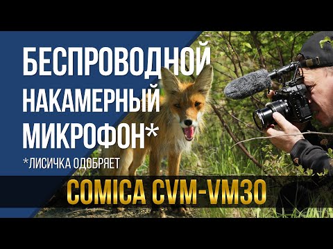 Видео: Оригинально, но полезно ли? Беспроводной накамерный микрофон Comica VM30.