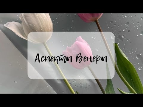 Видео: Аспекты: Венера-Нептун