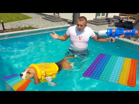 Видео: ШЕРЛОК И 1 000 000 000 000 POP IT. БРОС ШОУ ПЕТ