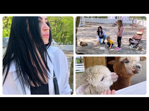 Видео: ОТДЫХЕМ 😎 ферма АЛЬПАК