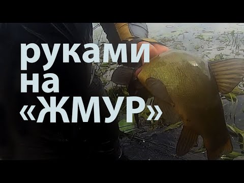 Видео: Ловим рыбу руками