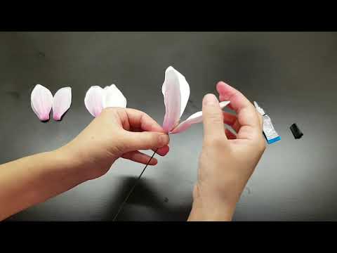 Видео: МК Магнолия - видео 1