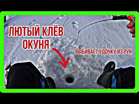 Видео: НАШЛИ СЕКРЕТНОЕ МЕСТО НА РЕКЕ И НАДУБАСИЛИ РЫБУ. Окунь на безмотылку, гвоздешарик.