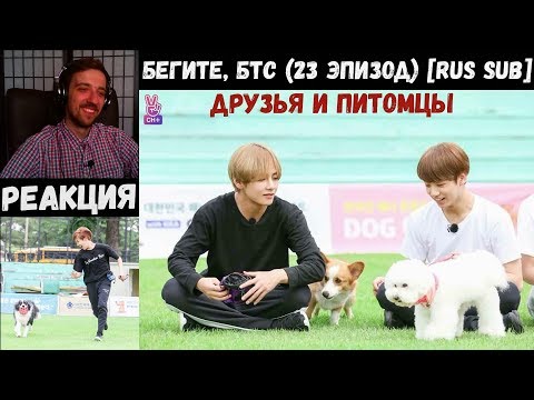 Видео: Бегите, БТС (23 эпизод) [RUS SUB] | Друзья и питомцы | РЕАКЦИЯ | Бегите! BTS! / Run! BTS!