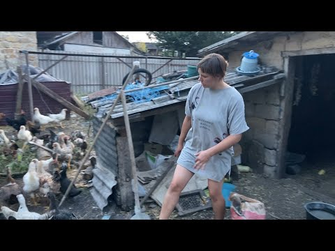 Видео: Сьогодні потрібно залити дирочки на ніч бо завтра буде дощ