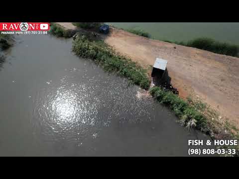 Видео: Продаётся Рыбхоз 12 гектар