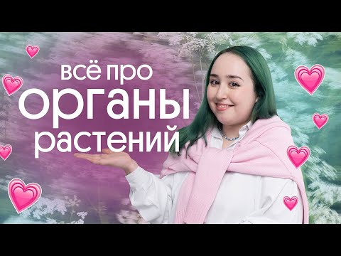 Видео: 🌵ВСЁ ПРО ОГРАНЫ РАСТЕНИЙ🌵