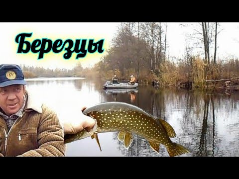 Видео: Рыбалка троллингом на реке Припять и её старицам. Березцы.