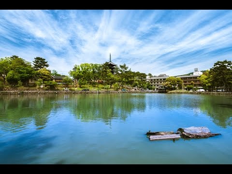 Видео: Прогулки по Японии. Часть 7. Нара, продолжение.