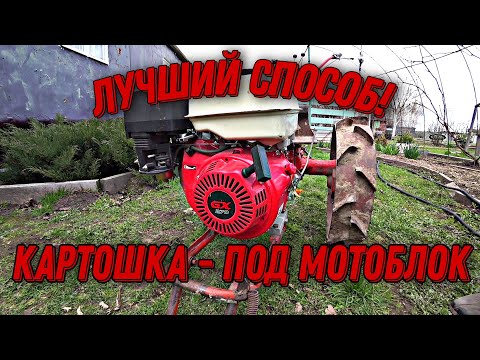 Видео: Лучший способ, посадки картофеля, под мотоблок.