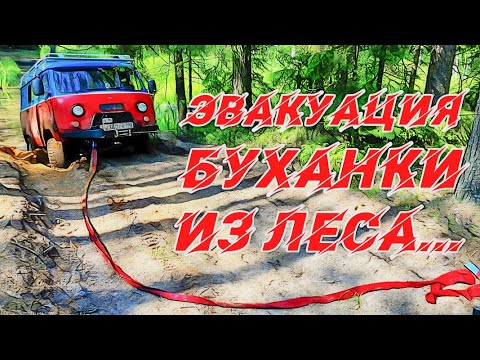 Видео: 11 ТОЧКА. Как выехать из леса, когда ВСЁ СЛОМАНО! Часть третья.