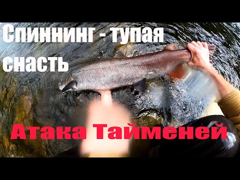Видео: Жёсткие  поклёвки Тайменей в реальном времени | Таймень на мыша днём