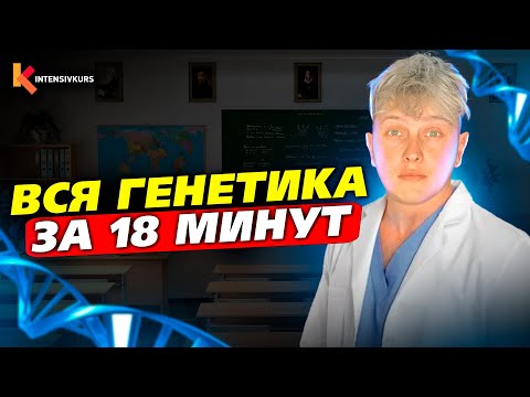 Видео: ГЕНЕТИКА ДЛЯ ЧАЙНИКОВ — Как понять Генетику с нуля за 18 минут?