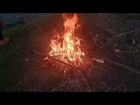 Видео: 27 августа 2025 г.